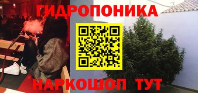 шишки Славянск-на-Кубани