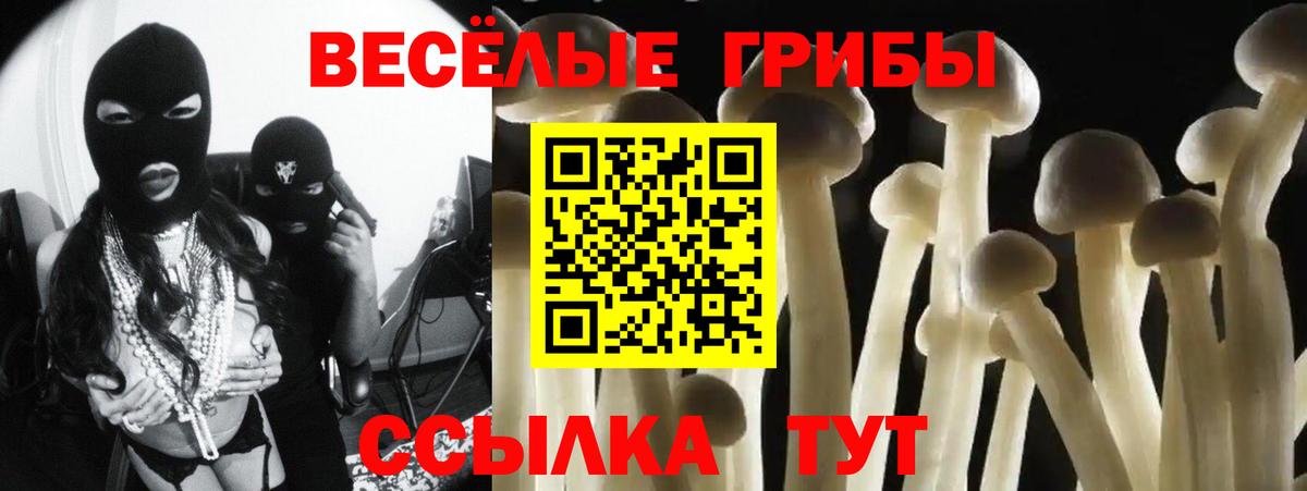 Самара  Галлюциногенные грибы MAGIC MUSHROOMS  сколько стоит  Галлюциногенные грибы MAGIC MUSHROOMS  Вход с VPN 